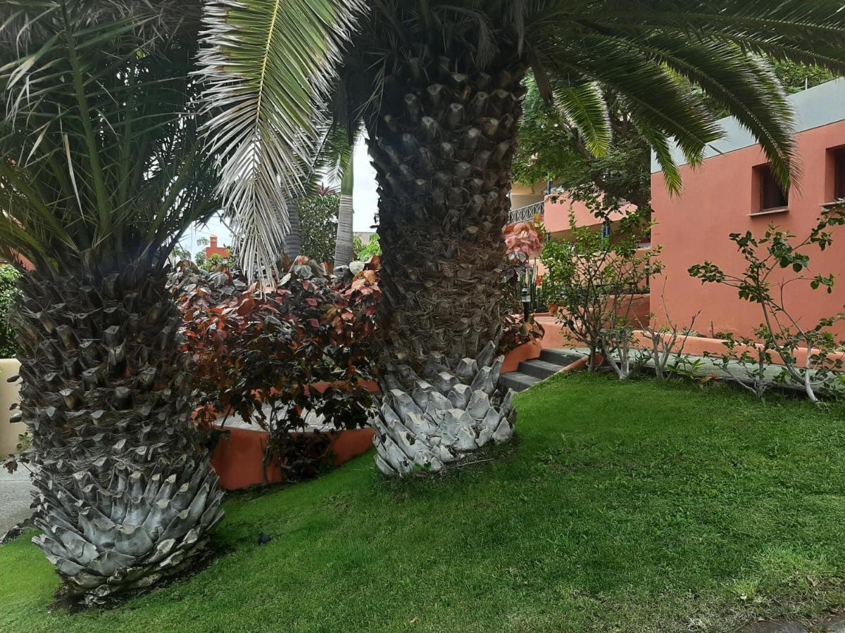 Aparthotel El Cerrito Playa Cancajos.- BreNa Baja  Dış mekan fotoğraf