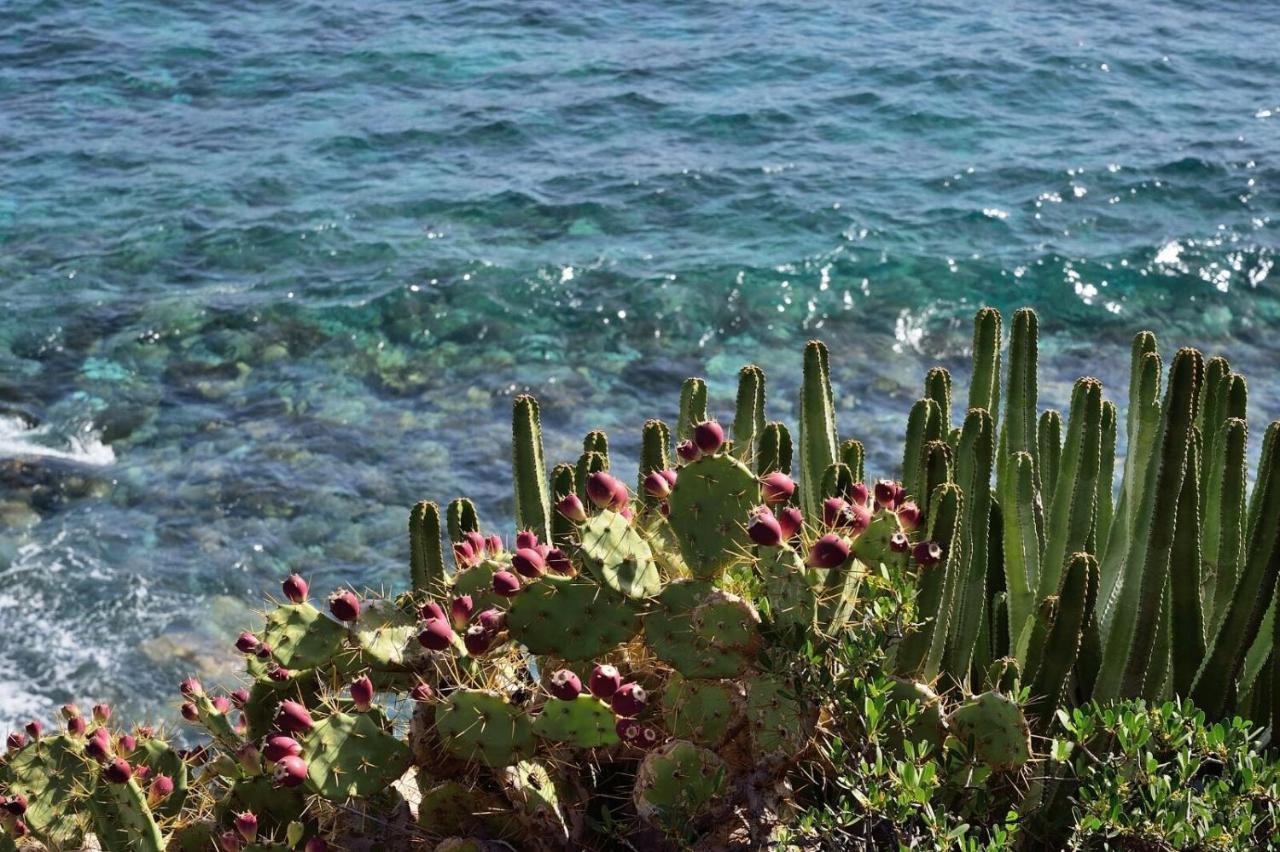Aparthotel El Cerrito Playa Cancajos.- BreNa Baja  Dış mekan fotoğraf