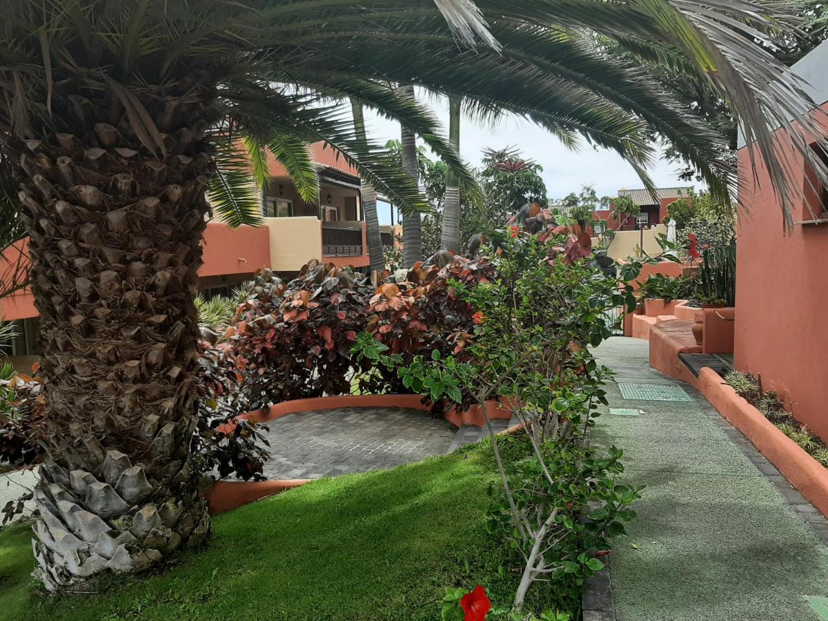Aparthotel El Cerrito Playa Cancajos.- BreNa Baja  Dış mekan fotoğraf